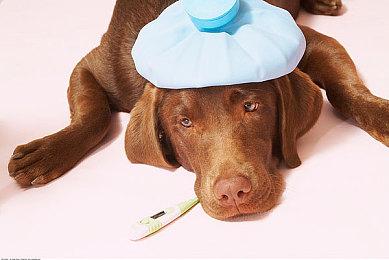 家具城生存游戏《商店关门了》遭宜家律师信警告